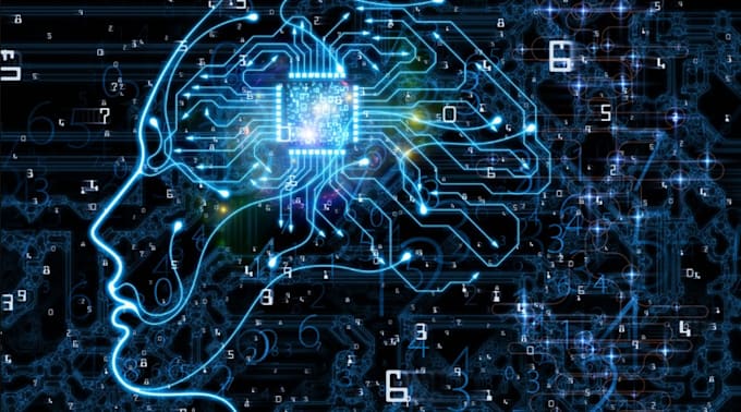 do data science or data analysis