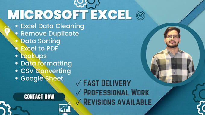 provides microsoft excel data cleaning, and data formatting