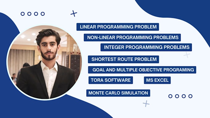 do operations research,linear programming,excel and lingo projects