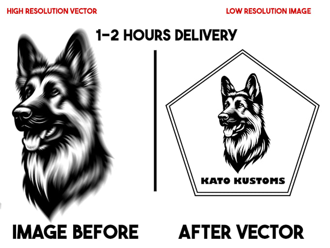 do vector tracing or illustration of anything or image
