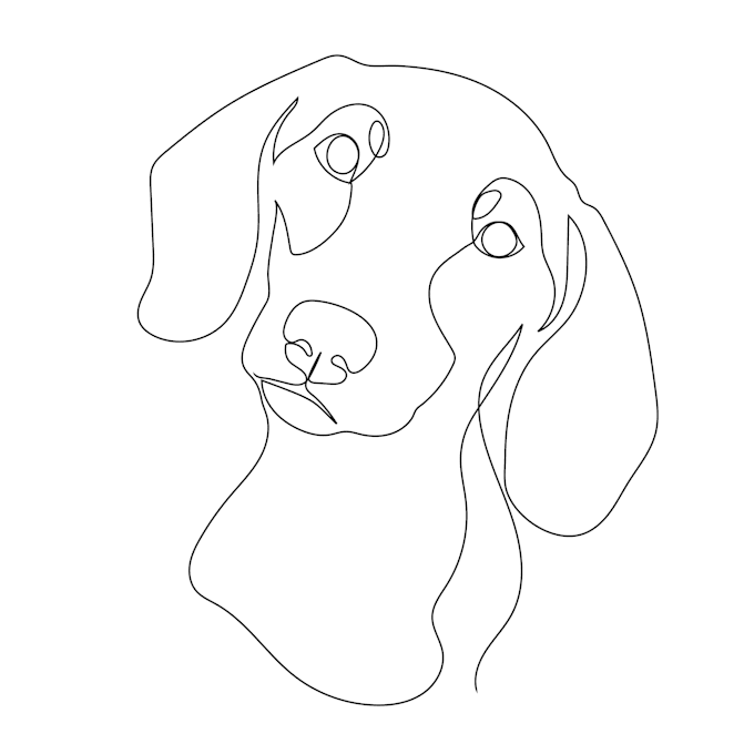your pet into single line art vector