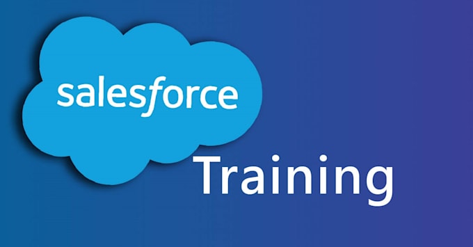 teach or train you salesforce admin and development