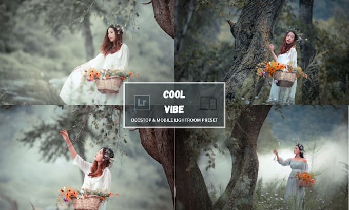 create custom lightroom preset packages