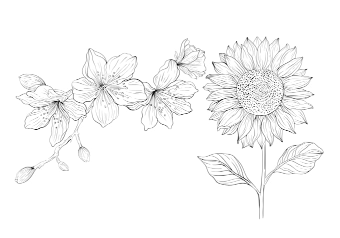 do floral line drawing illustration