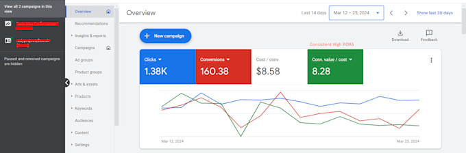 setup audit and manage your google ads adwords PPC campaigns