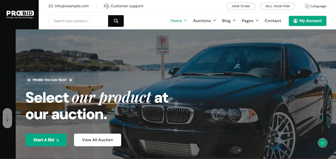 design or build a home or car auction wordpress website
