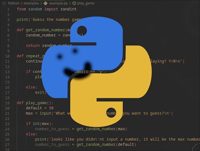 Teach kids to code with python in english or spanish online by Zidenett ...