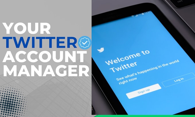 manage twitter account with regular crypto posting