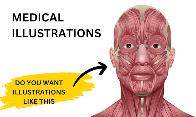medical illustration and scientific graphics