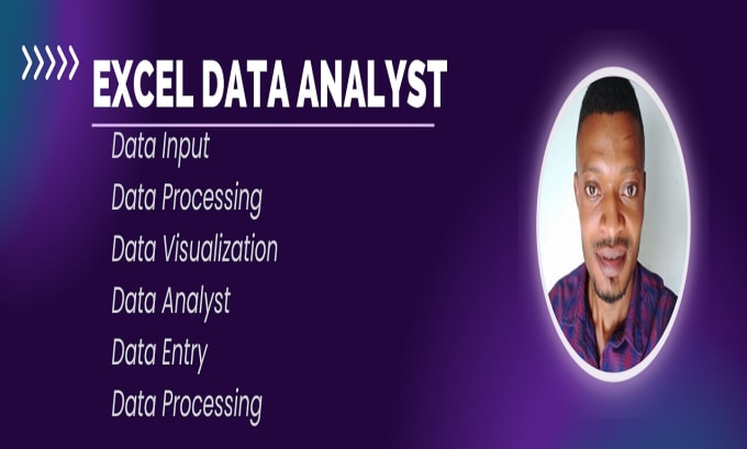 Be your data analyst and create excel dashboard and charts by ...