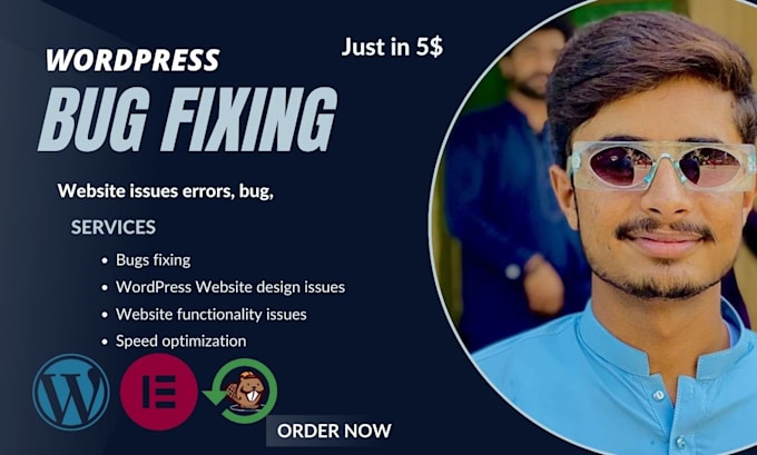 fix wordpress bug issues, fix wordpress plugin issues