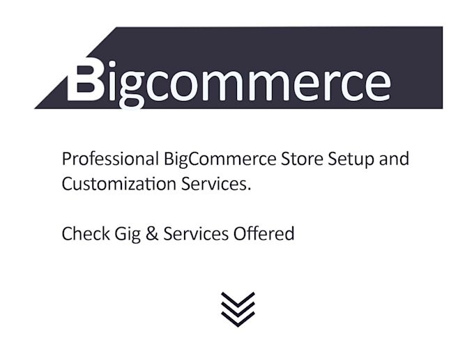 design professional bigcommerce website ecommerce store
