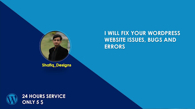 fix wordpress issues, errors, bugs and problems