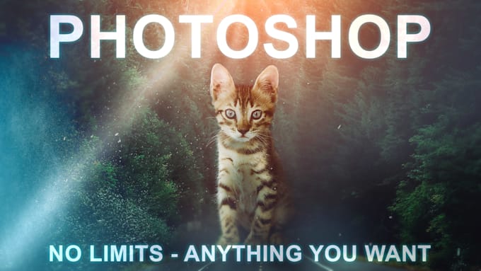 perform custom photoshop wizardry