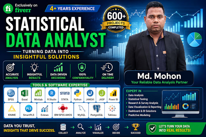 do statistical data analysis,using excel,spss,r studio,stata,minitab,jasp,jamovi