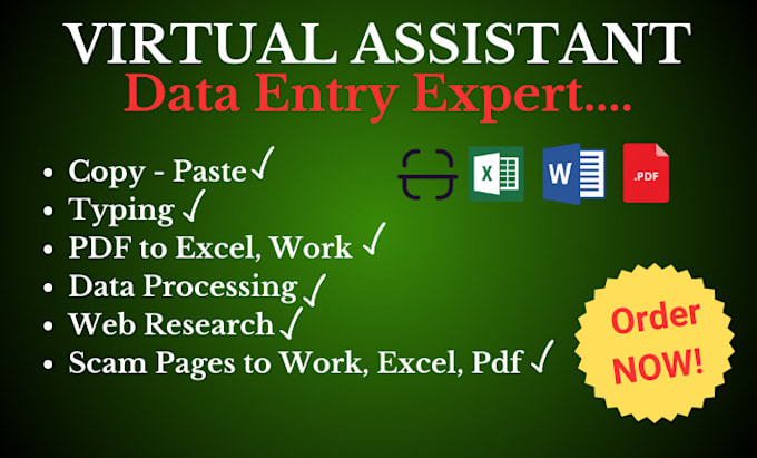 data entry specialist fast and precise