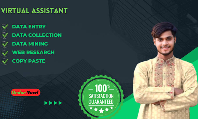 be your virtual assistant for data entry, typing, copy paste and web research