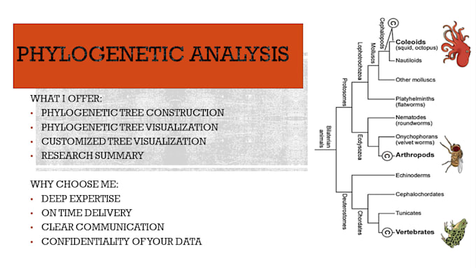 do phylogenetic analysis and related bioinformatics analysis
