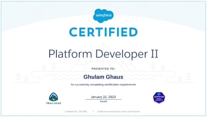 be your salesforce developer