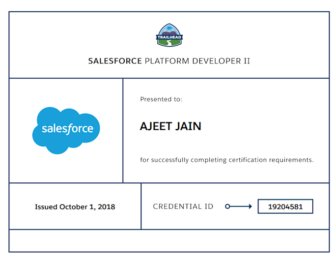 develop custom salesforce solutions for your business