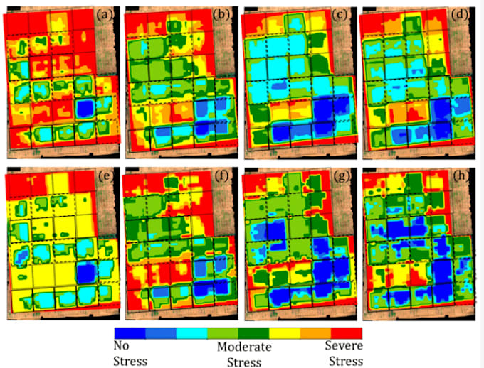 identify stressed crops using drone or satellite images