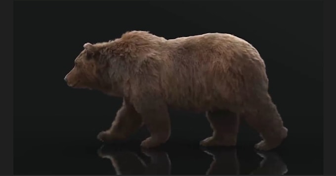 do 3d animal animation, 3d animal model, 3d character, 3d rigging  hair