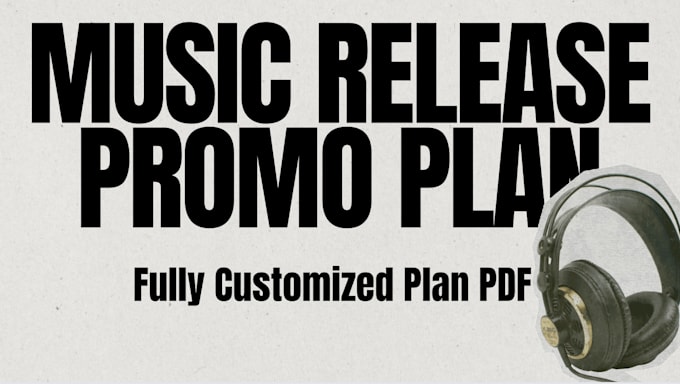 create a custom music release plan for you