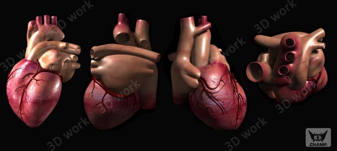 Create 3d Model Or Edit Stl File For 3d Printing By Tarunnahar