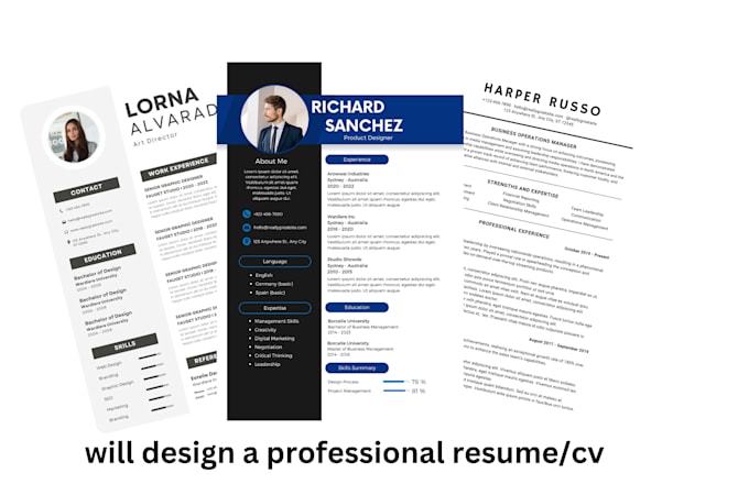 design your resume or cv within 24 hrs