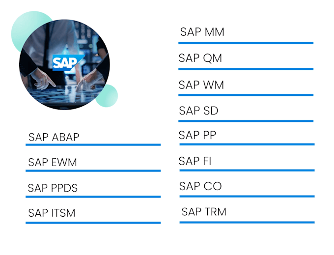 provide sap s4hana and ecc support