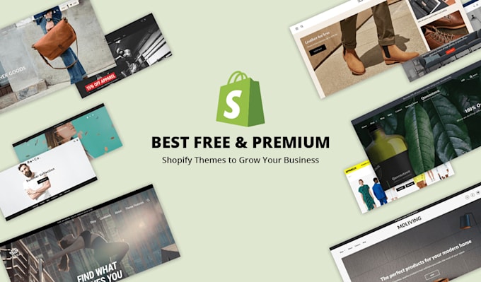 deliver and install best shopify premium themes
