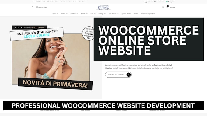 build a complete professional website or ecommerce store