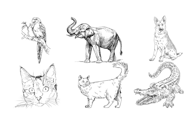 create kid sketch page digital
