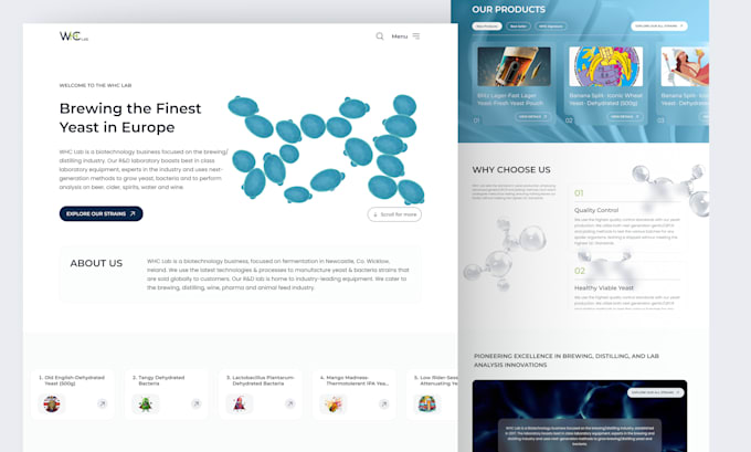 develop your ecommerce websites using react js node js