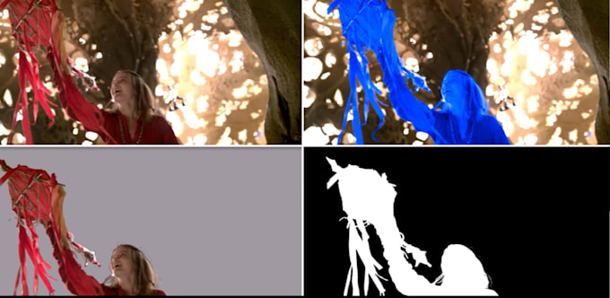 do professional rotoscopy for your videos