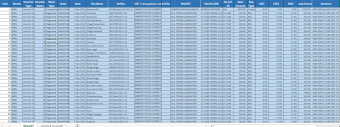 efficient data conversion specialist