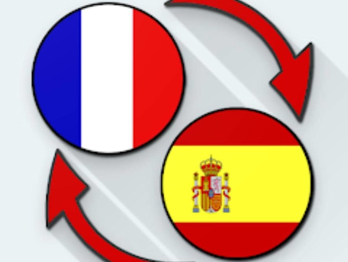 do professional french spanish website content translation