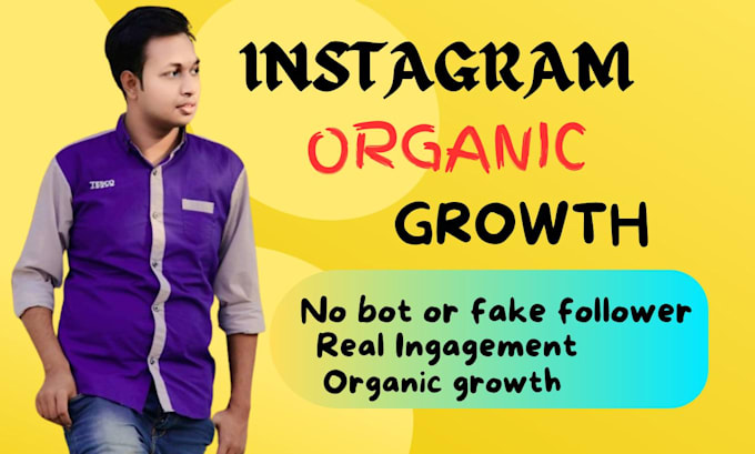 do fast organic instagram growth