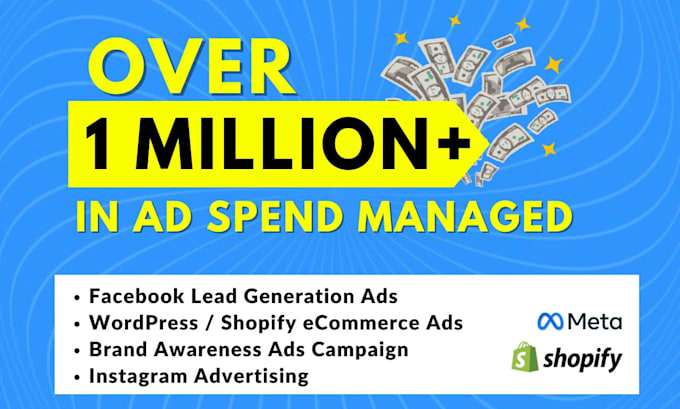 run meta facebook instagram lead gen ads, shopify ecommerce ad campaign