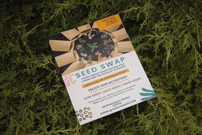 design a professional flyer, poster, or brochure