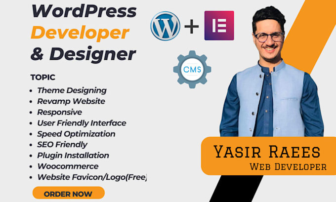 build a professional wordpress website
