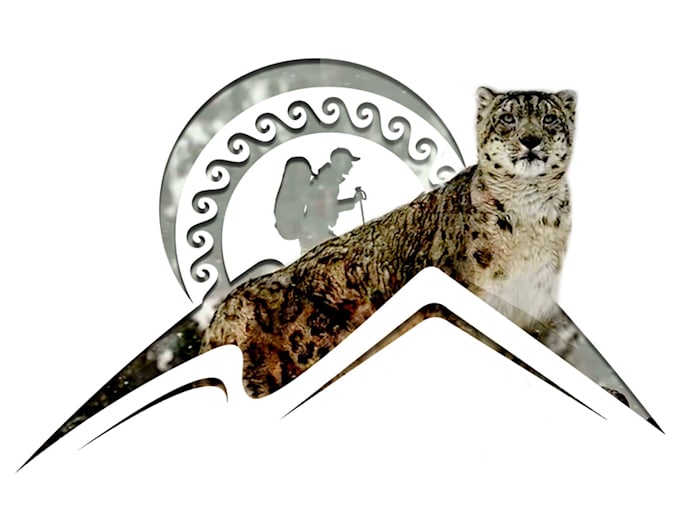 Edit after effects and premiere pro templates by Mansurae Fiverr