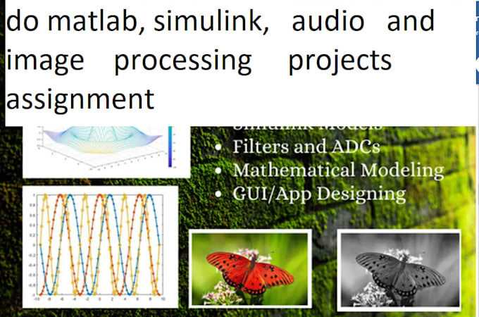 do matlab, simulink, audio and image processing projects assignment