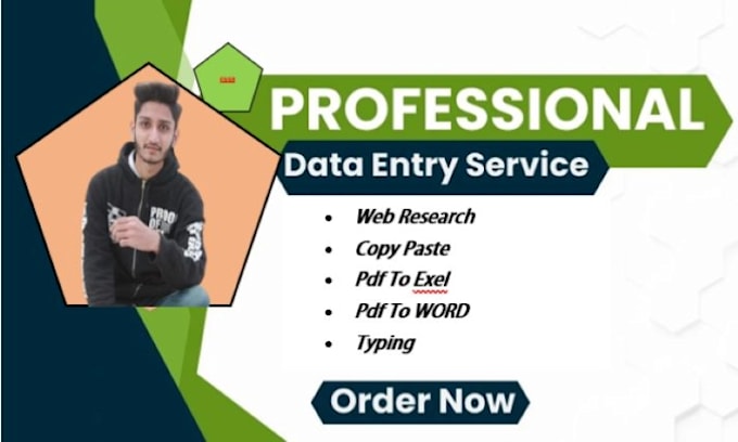 do data entry , copy paste in ms exel or ms world