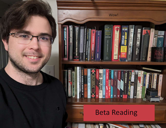 beta read your novel