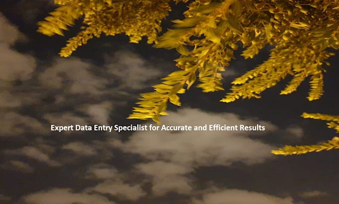 expert data entry specialist for accurate and efficient results