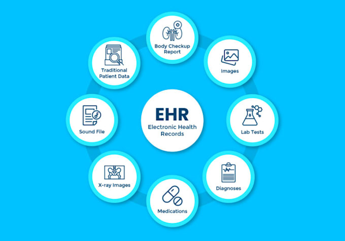 create electronic health records, ehr or emr or pms system and consultant