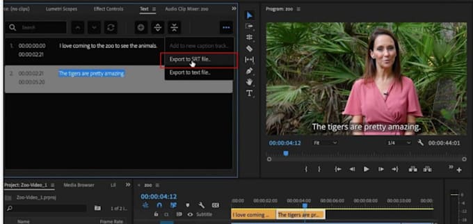 professional synced subtitles or captions to your video
