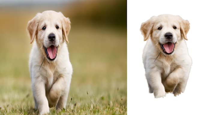 remove background perfectly for photos
