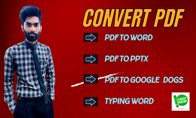 convert pdfs to word and offer typing service